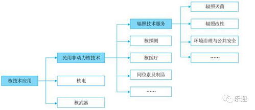 國內(nèi)輻照技術(shù)服務(wù)龍頭中金輻照